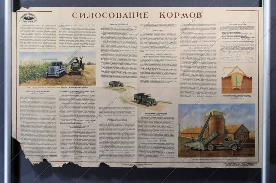 Плакат СССР, Силосование кормов (агротехсоветы колхозам  11), 1955 год