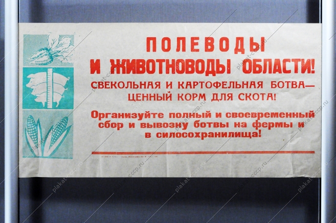 Растяжка плакат СССР: Полеводы и животноводы области Организуйте полный и своевременный сбор и вывозку ботвы на фермы и в силосохранилища 1972 год