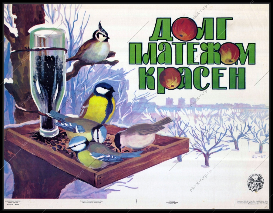 Оригинальный советский плакат охрана природы птицы синицы зима всероссийское общество охраны природы