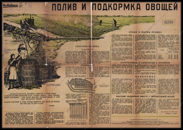 Оригинальный плакат СССР Агротехсоветы полив и подкормка овощей