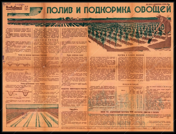 Оригинальный плакат СССР полив и подкормка овощей Агротехсоветы колхозам