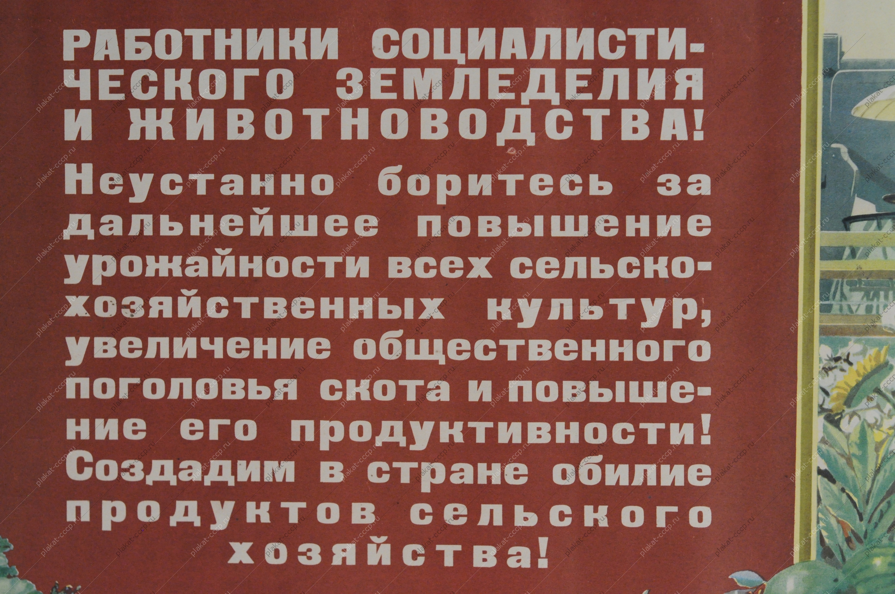 Советский плакат, Работникам социалистического земледелия и животноводства, Б.Мухин, 1953 год