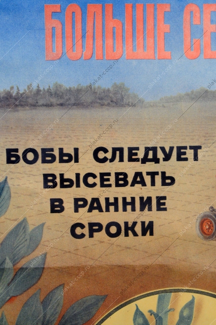 Оригинальный плакат СССР, Больше семян кормовых бобов, Елсуков, В.Н.Добровольский, 1961 год