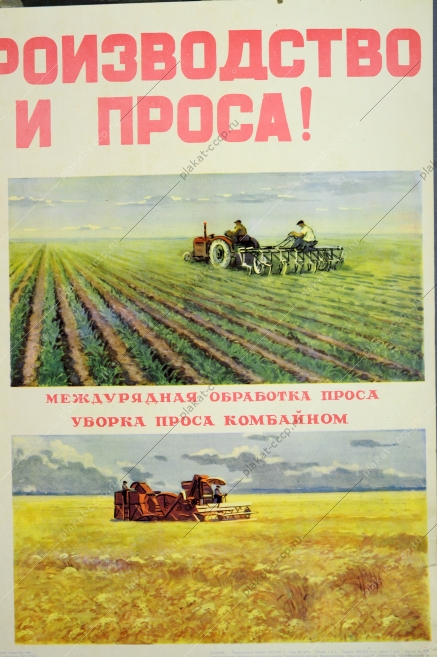 Оригинальный советский плакат СССР, художник А. Мягков, Увеличим производство гречихи и проса, 1955 год