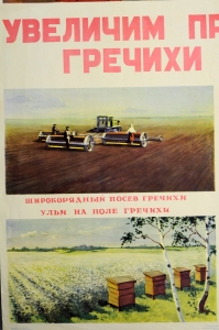 Оригинальный советский плакат СССР, художник А. Мягков, Увеличим производство гречихи и проса, 1955 год