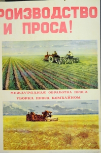 Оригинальный советский плакат СССР, художник А. Мягков, Увеличим производство гречихи и проса, 1955 год