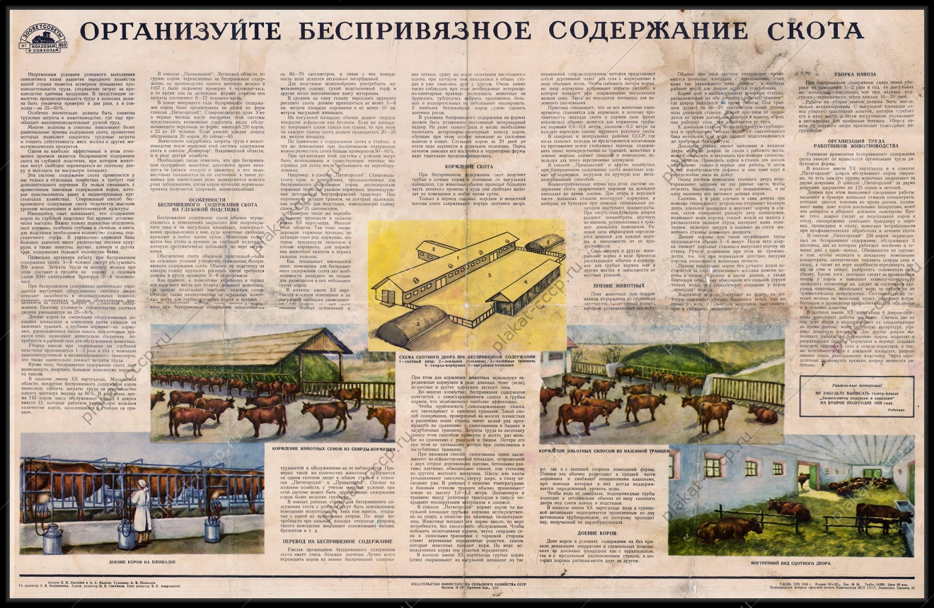 Оригинальный советский плакат организуйте беспривязное содержание скота коровы животноводство