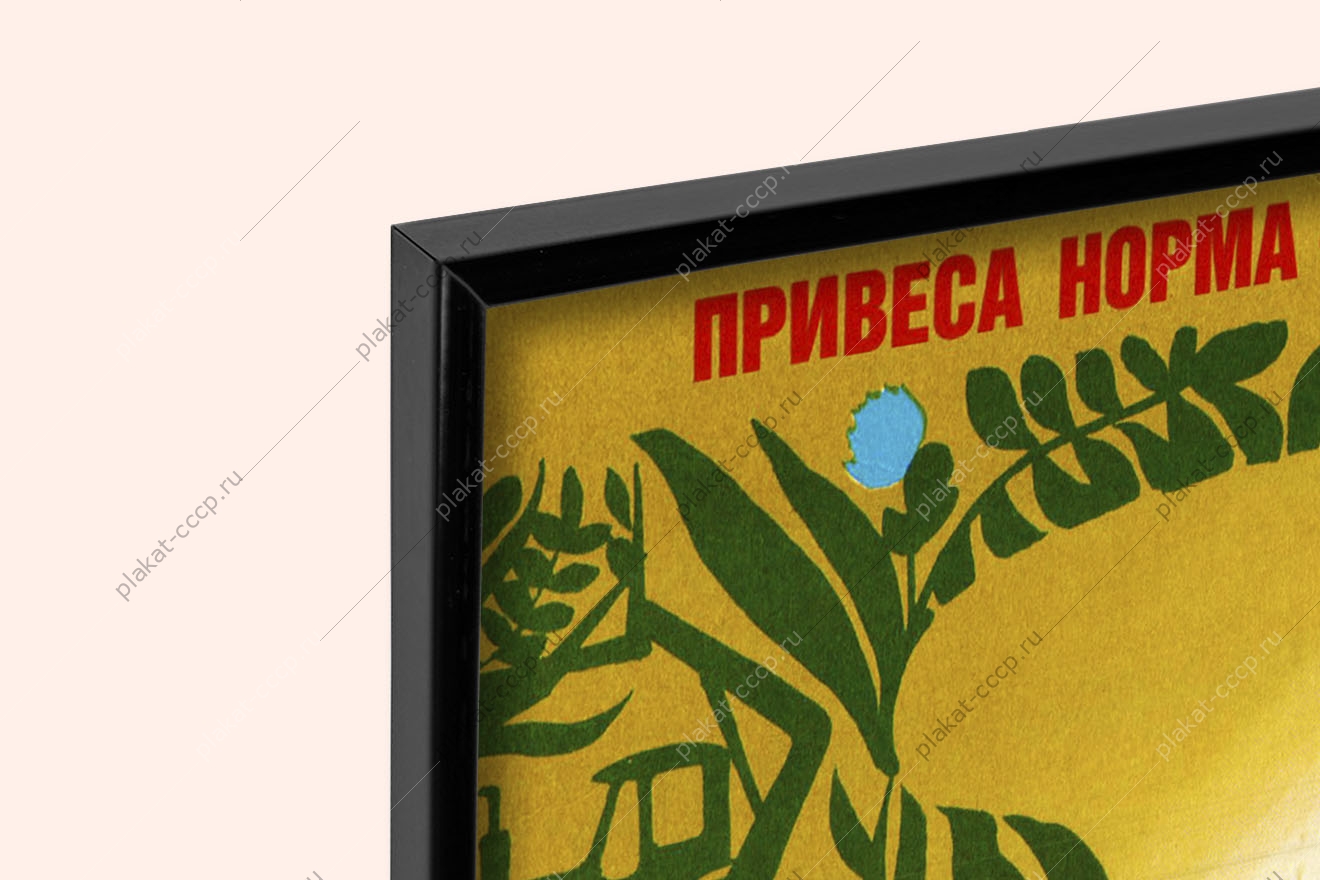 Оригинальный советский плакат СССР привеса норма закон откорма