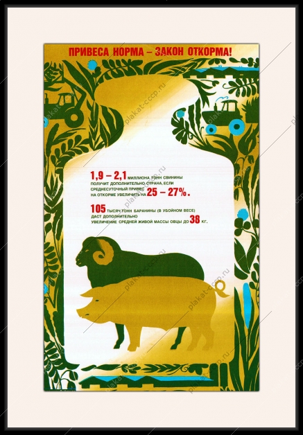 Оригинальный советский плакат СССР привеса норма закон откорма
