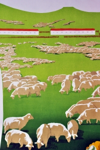 Оригинальный плакат СССР овцеводство фермы качество продукции сельское хозяйство художник В Удод 1976