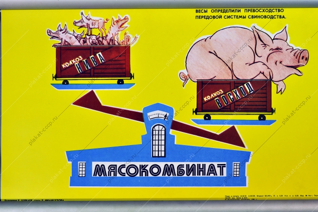 Оригинальный плакат СССР свиноводство мясокомбинат животноводство 1981