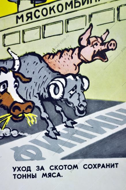 Оригинальный плакат СССР свиноводство мясокомбинат стадо животноводство 1982