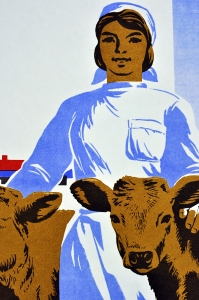 Оригинальный плакат СССР животноводство доярки ферма запасы кормов 1976
