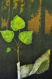 Оригинальный плакат СССР защита деревьев природы