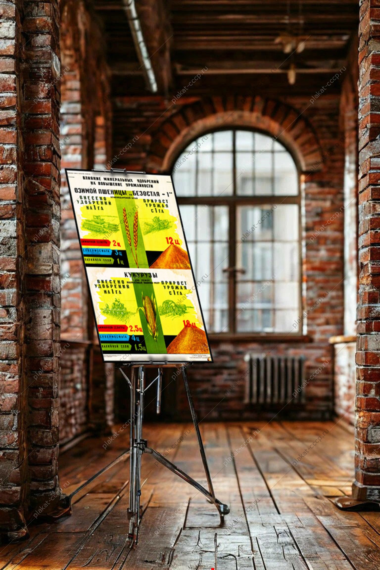 Оригинальный плакат СССР влияние минеральных удобрений на повышение урожайности озимой пшеницы Безостая-1 кукурузы