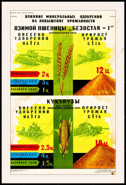 Оригинальный плакат СССР влияние минеральных удобрений на повышение урожайности озимой пшеницы Безостая-1 кукурузы