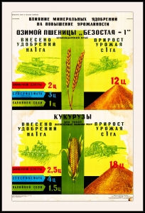 Оригинальный плакат СССР влияние минеральных удобрений на повышение урожайности озимой пшеницы Безостая-1 кукурузы