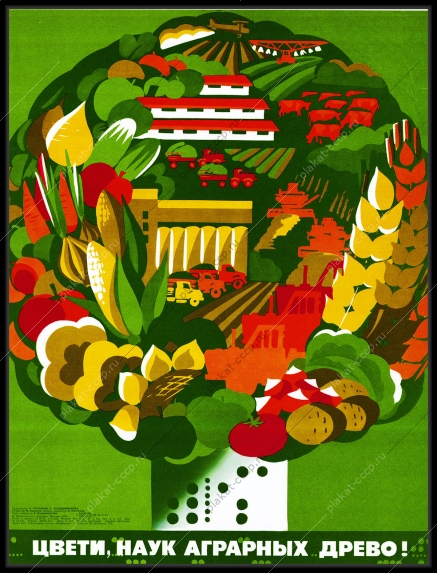 Оригинальный советский плакат аграрная сельскохозяйственная наука