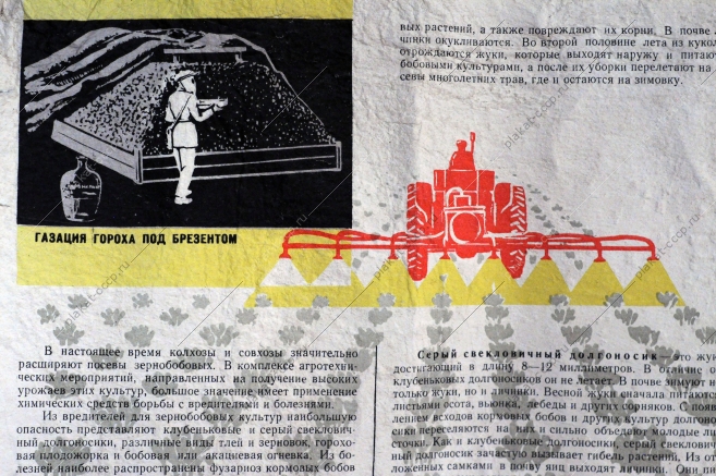 Плакат СССР: Защищайте зернобобовые от вредителей и болезней. Агротехнические советы совхозам и колхозам, 1962 год