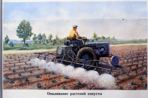 Плакат СССР, А.Ш.Карамин, Боритесь с вредителями овощных культур, 1955 год