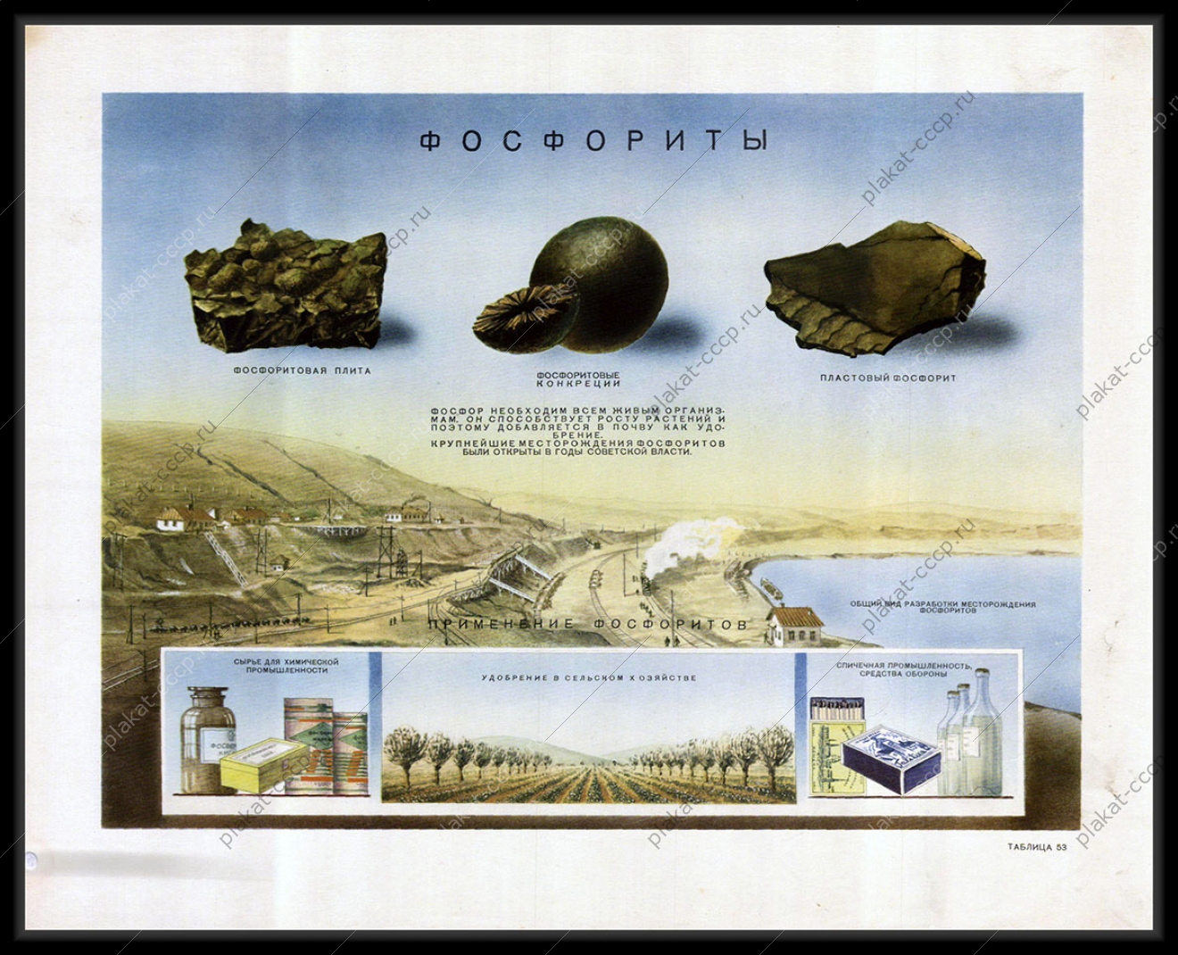 Оригинальный плакат СССР фосфор применение фосфоритов в сельском хозяйстве удобрения разработка месторождений фосфоритов 1955