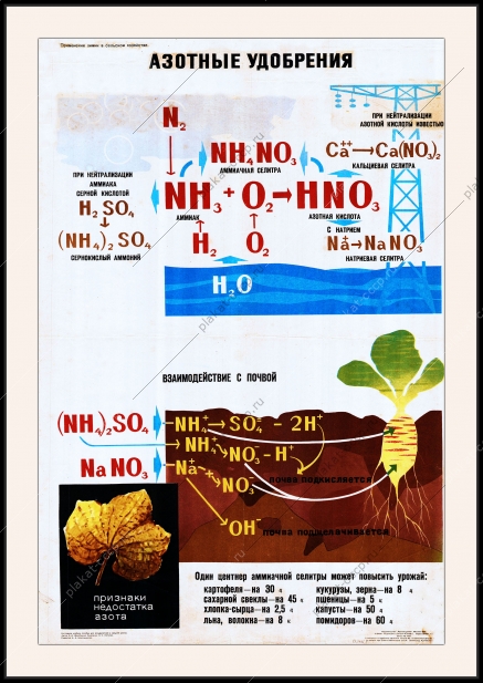 Оригинальный плакат СССР азотные удобрения аммиачная селитра химизация