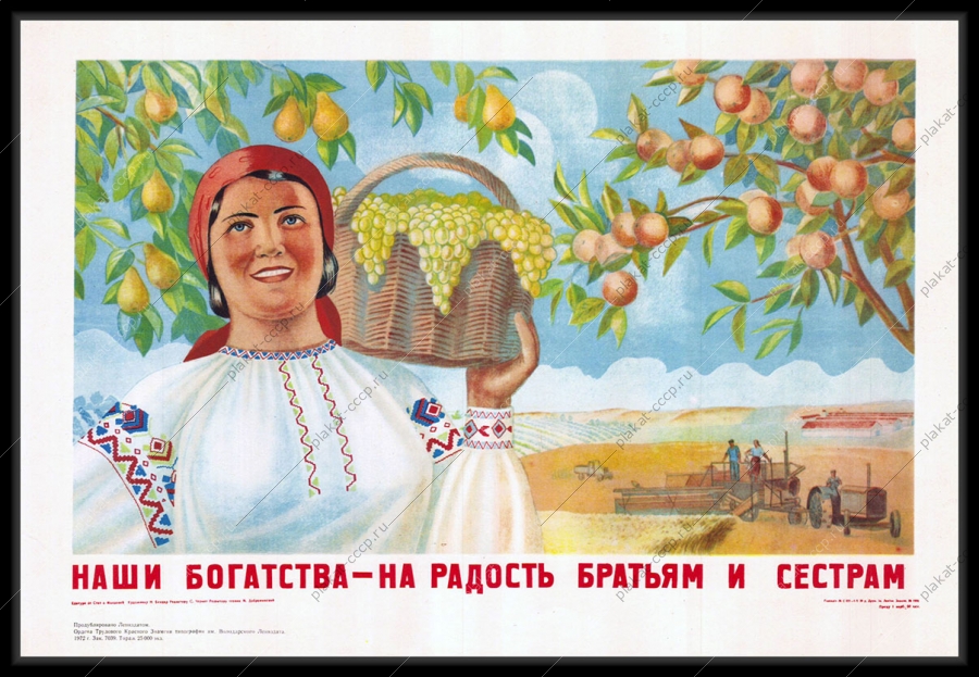 Оригинальный советский плакат сбор винограда фруктов
