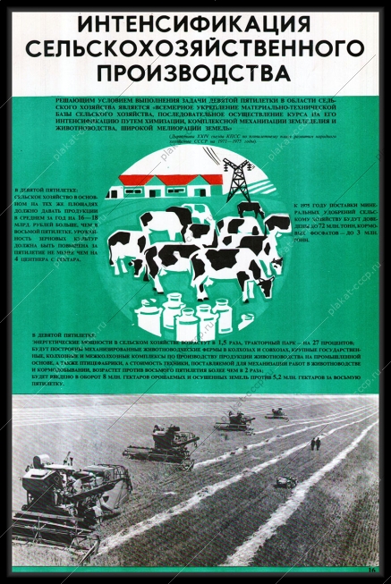 Оригинальный плакат СССР интенсификация сельского хозяйства животноводство