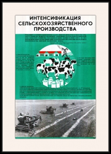 Оригинальный плакат СССР интенсификация сельского хозяйства животноводство