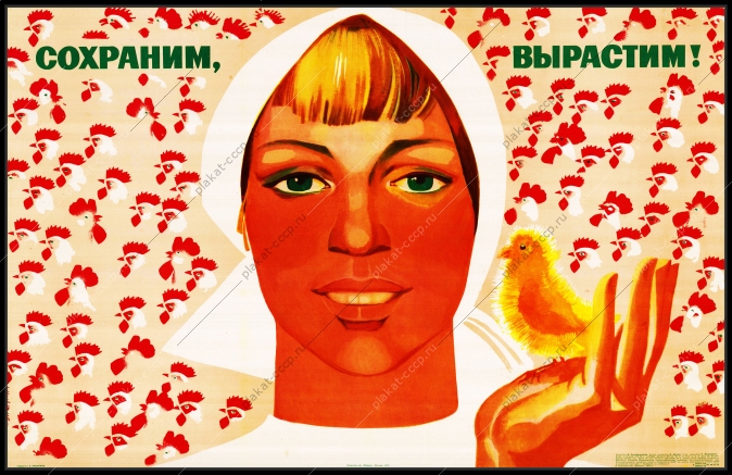 Оригинальный плакат СССР птицеводство курица выращивание цыплят яйца