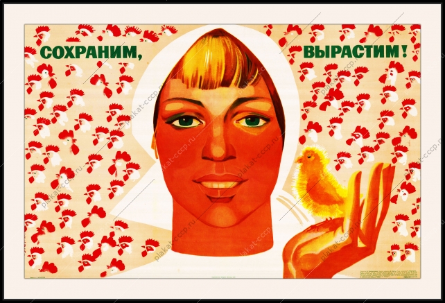 Оригинальный плакат СССР птицеводство курица выращивание цыплят яйца