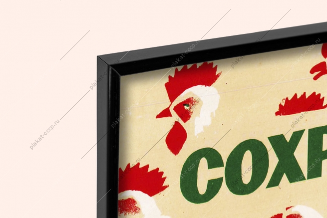 Оригинальный плакат СССР птицеводство курица выращивание цыплят яйца