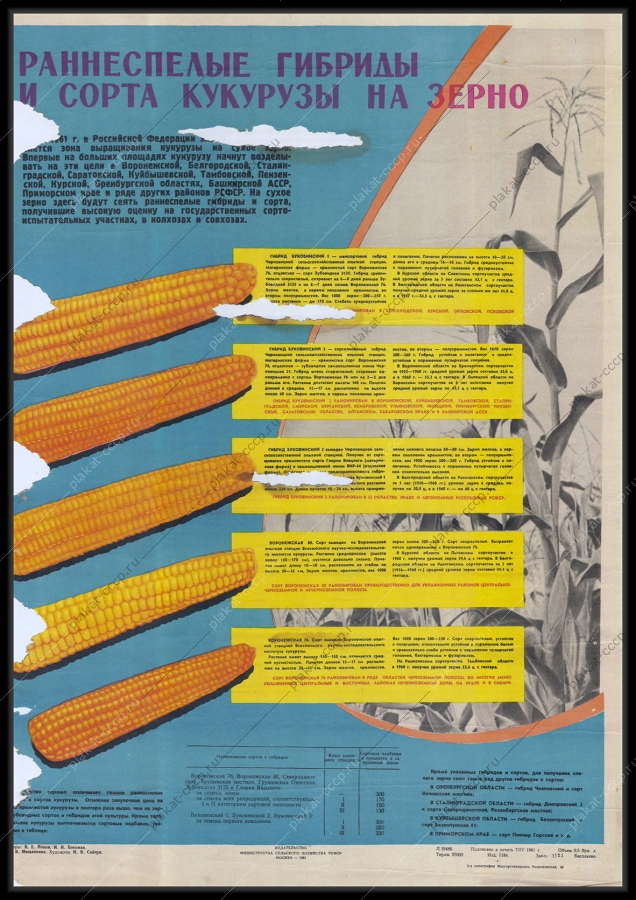 Оригинальный советский плакат сорта кукурузы сельское хозяйство 1961