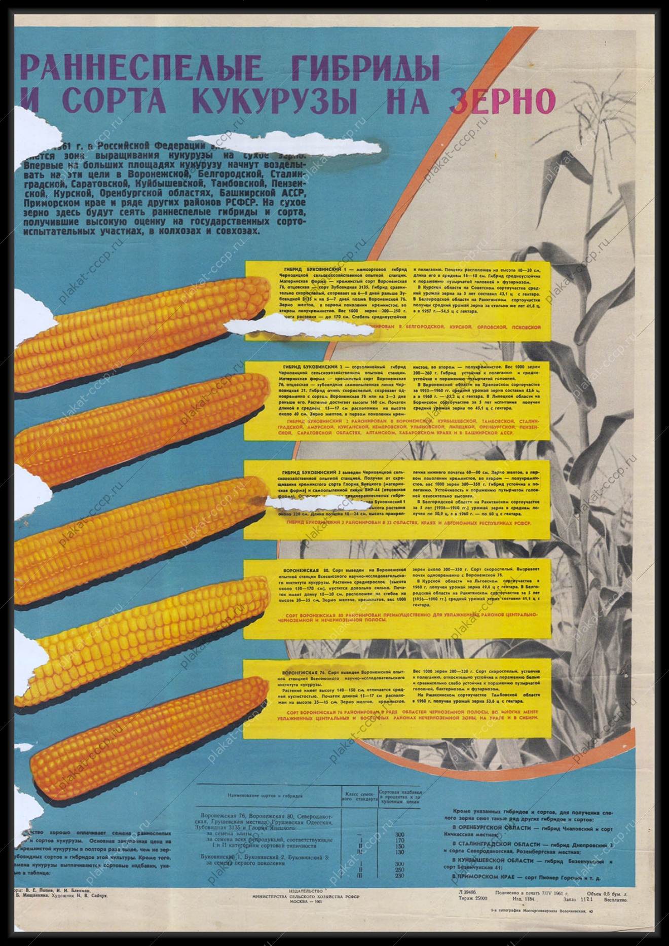 Оригинальный советский плакат сорта кукурузы сельское хозяйство 1961