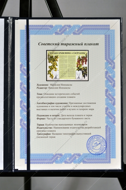 Оригинальный плакат СССР посадка крыжовника и смородины сельское хозяйство