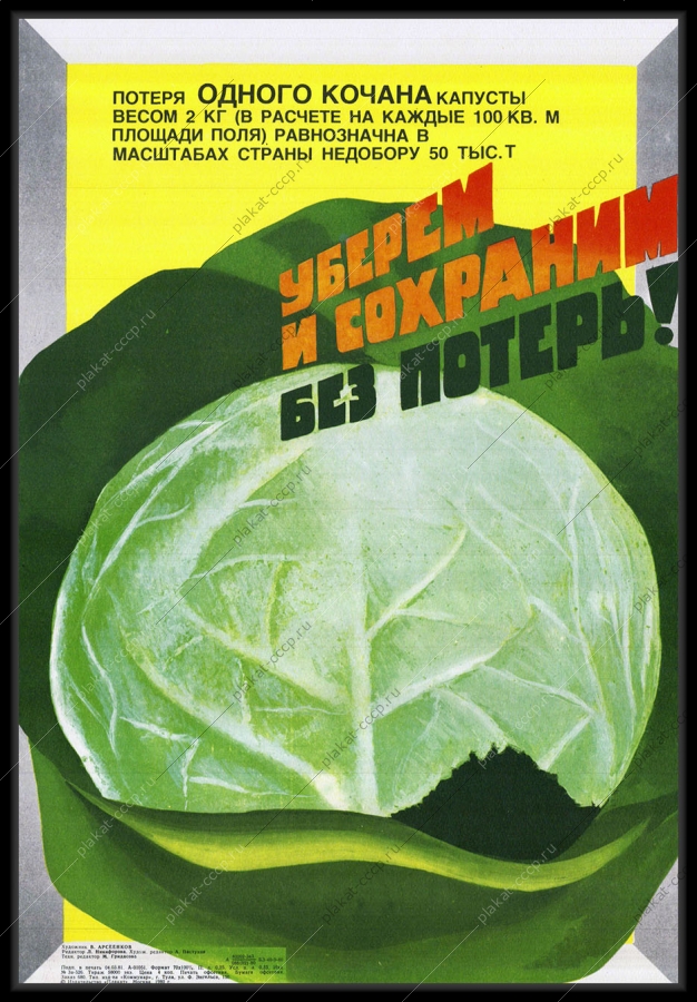 Оригинальный советский плакат уборка урожая капусты сельское хозяйство