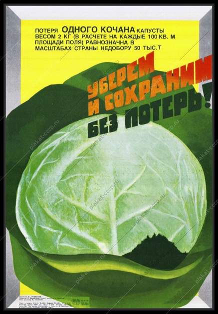 Оригинальный советский плакат уборка урожая капусты сельское хозяйство