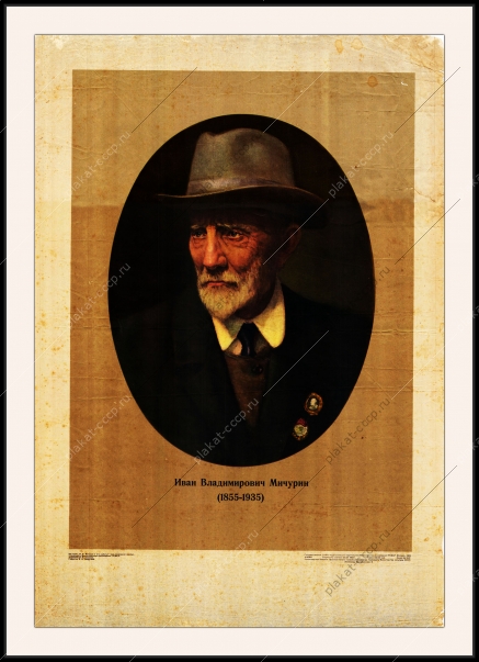 Оригинальный плакат СССР Иван Владимирович Мичурин