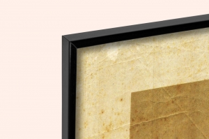 Оригинальный плакат СССР Иван Владимирович Мичурин