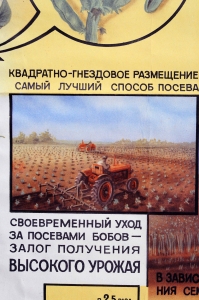 Оригинальный плакат СССР, Больше семян кормовых бобов, Елсуков, В.Н.Добровольский, 1961 год