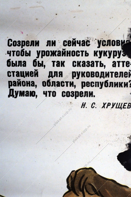 Плакат СССР, И.П.Борисов, Он урожай взрастил богатый и удостоен аттестата, 1961 год