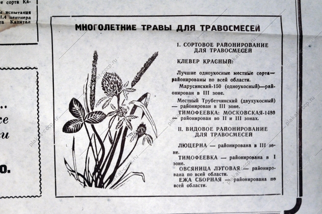 Плакат СССР А.Н.Комаров - Посев семенами - залог высокого урожая, 1951 год