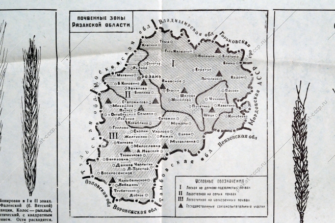 Плакат СССР А.Н.Комаров - Посев семенами - залог высокого урожая, 1951 год