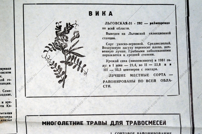 Плакат СССР А.Н.Комаров - Посев семенами - залог высокого урожая, 1951 год