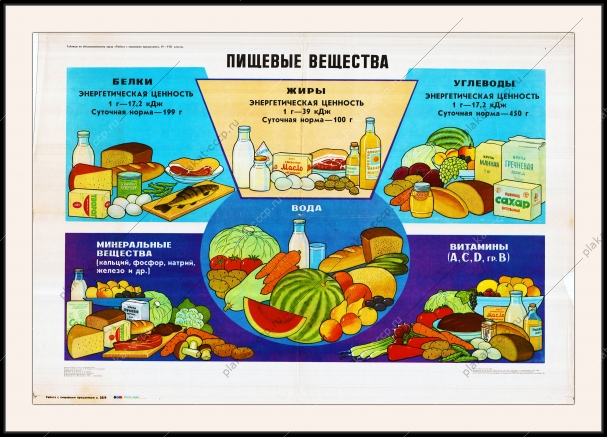 Оригинальный плакат СССР пищевые вещества