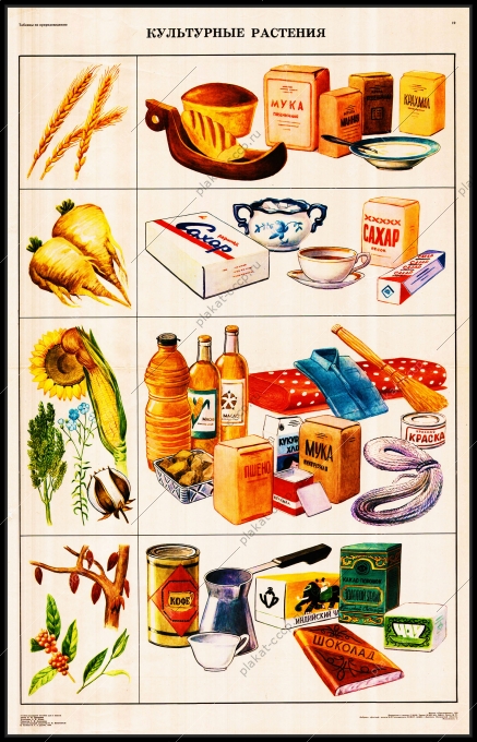 Оригинальный плакат СССР культурные растения