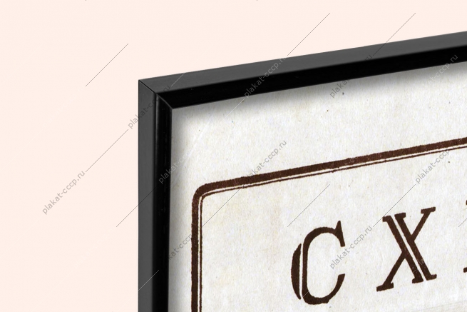 Оригинальный плакат СССР схема разруба свиной туши мясная промышленность