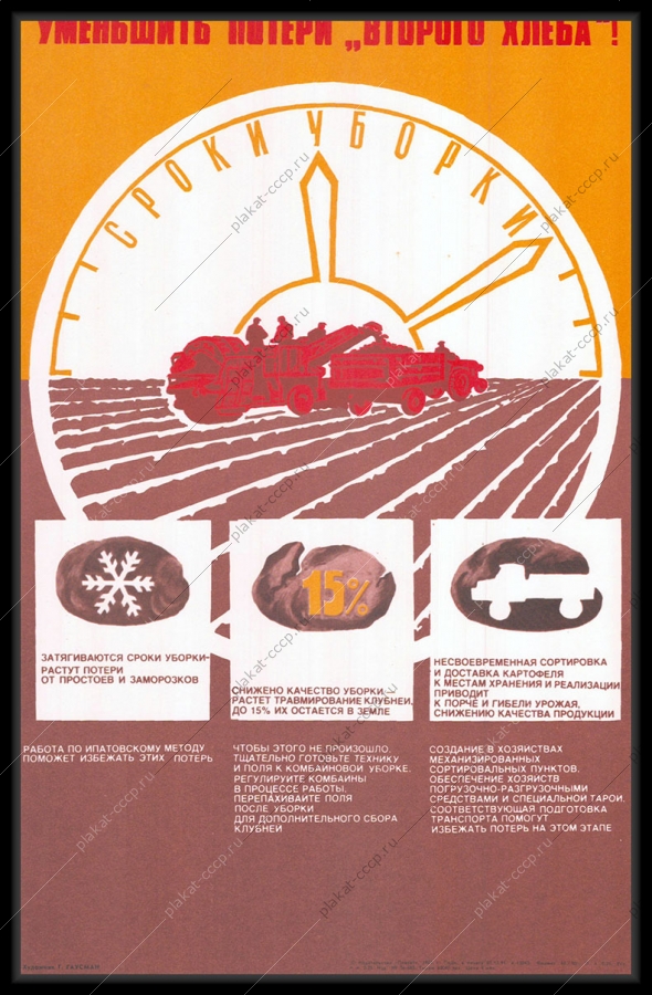 Оригинальный советский плакат уменьшить потери второго хлеба уборка картофеля работа по Ипатовскому методу