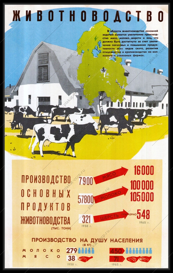 Оригинальный плакат СССР производство основных продуктов животноводства мясо КРС корова