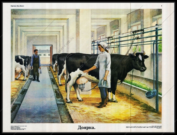 Оригинальный плакат СССР доярка ферма корова молоко животноводство